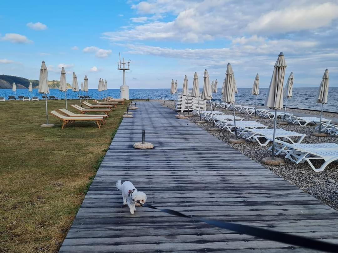 Apartmaji Soncek Izola Exterior photo